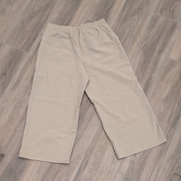 NWT Athleta Midday Crop Tan Wide-Leg Pants - Picture 4 of 11